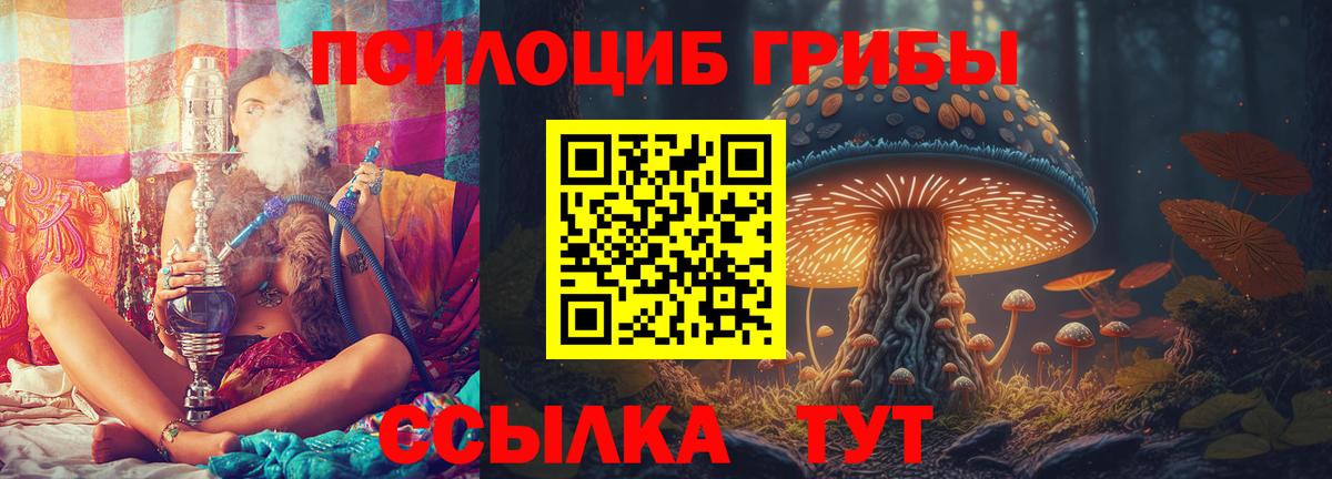 Псилоцибиновые грибы Psilocybine cubensis Миасс