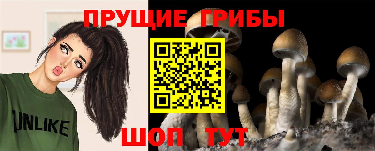 Галлюциногенные грибы мухоморы  Псилоцибиновые грибы Magic Shrooms  Миасс  Вход с VPN 